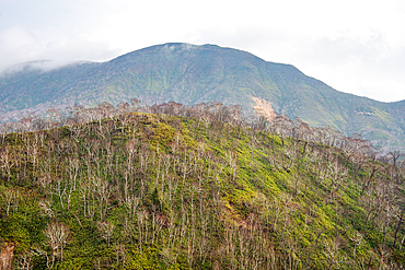 Green hilly mountains of Shiretoko National Park, on the north of Hokkaido close to Russia, Hokkaido, Japan, Asia