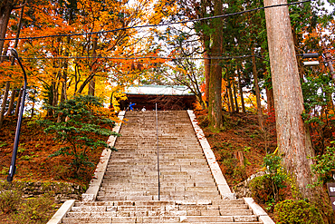 Mount Hiei, Hiei San, Stairs leading up to a Shinto Temple. Beautiful Japanese Shinto Pagoda in an autumnal forest on the sacred mountain