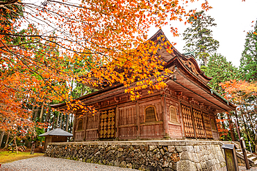 Enryaku-ji temple zen buddhist temple . beautifully preserved wooden temple surrounded by colorful autumn trees on Mount Hiei near Kyoto.