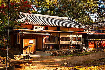 A quaint Japanese tea house surrounded by autumn foliage, its reflection shimmering on a peaceful pond in Nara. Japan