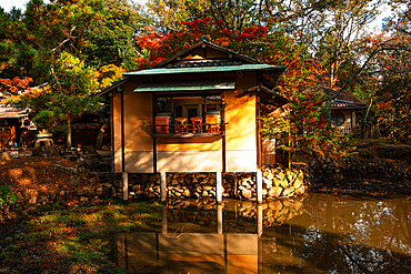 A quaint Japanese tea house surrounded by autumn foliage, its reflection shimmering on a peaceful pond in Nara. Japan