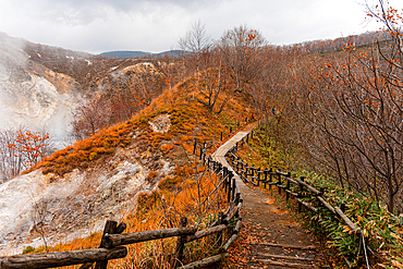 Walking path leading through autumal forest with steaming volcanic valley of Noboribetsu on the left, Hokkaido, Japan, Asia