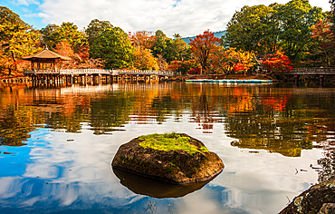 Green moss covered rock centered in a calm reflecting pond with autumnal surroundings