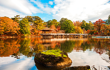 A scenic view of Ukimi-do Pavilion, surrounded by autumn foliage, reflecting beautifully on the tranquil pond in Nara Park. Japan