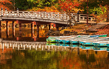 wooden bridge spanning Sagiike Pond creates a picturesque view, with boats and vibrant autumn leaves completing the serene landscape. Autumnal hues and colors in Japan