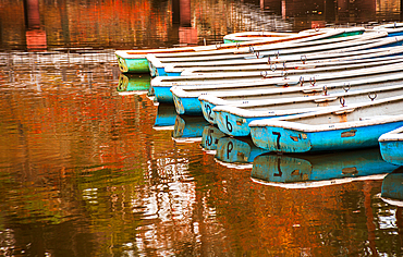 Blue rowing boats neatly docked in a clear reflecting pond. Golden warm autumnal forest surrounding