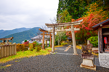 Traditional torii gates surrounded by vivid autumn foliage on Mount Hiei, a serene gateway to sacred temples in Kyoto.