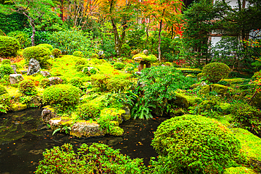 A traditional stone lantern stands by a tranquil pond surrounded by moss and autumn foliage in Shuheki-en Garden, Kyoto.