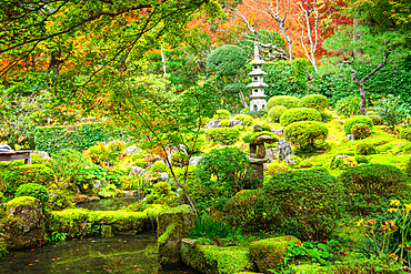 A picturesque view of mossy mounds, stone accents, and a tranquil pond in Shuheki-en Garden near Sanzen-in Temple, Kyoto.