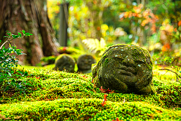 stone statue in a lush forest garden, surrounded by ferns and foliage near Sanzen-in Temple.