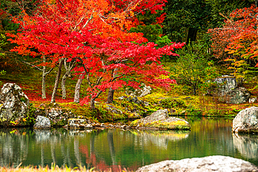 Tenryū-ji Temple's tranquil Zen garden featuring a reflective pond surrounded by mossy stones and vivid autumn trees in Kyoto.