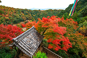 Panoramic view over the vast autumnal valley of Arashiyama. Overlooking the grey tiled temples roofs of Daihikaku Senkōji Temple surrounded by lush greenery and vibrant autumn leaves in Kyoto, featuring traditional Japanese architecture.