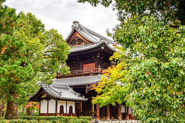 A temple gate frames vibrant autumn foliage at a historic Zen temple in Kyoto, blending traditional architecture with seasonal beauty.