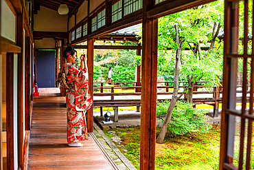 A woman wearing a traditional kimono gazes at the peaceful Zen garden of Hōgon-in Temple in Arashiyama, Kyoto.