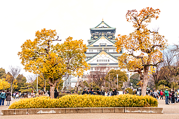 Osaka Castle in Japan with golden foliage trees in front of the main tower.