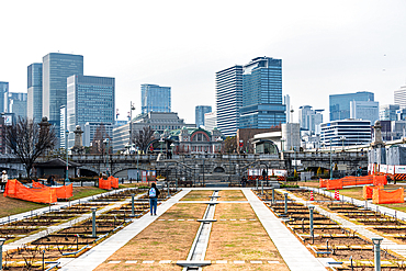 Nakanoshima, Osaka, Japan. Nakanoshima Park Lawn Square. Rose garden with Skyscrapers in the background. An Island in the middle of this million town. Being an oasis with its parks and green areas.