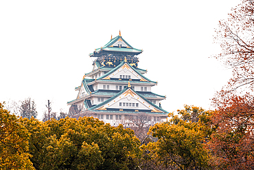 Osaka Castle, rising high over autumnal tree tops. Japan