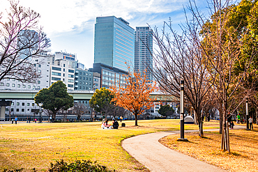 Nakanoshima in Osaka, Japan. A green Island park in the center of Osaka. Grass field contrasting the towering skyscrapers.