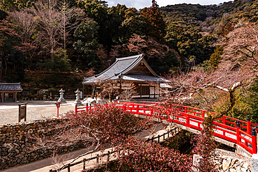 Beautiful red bridge at Buddhist temple Ryuan-ji at Minoh National Park near Osaka,Kansai Japan