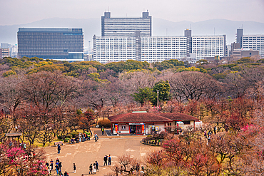 Overlooking the winter park Forest of Memorial Trees, Ōsakajōkōen, Osaka Castle, Osaka, Kansai, Japan