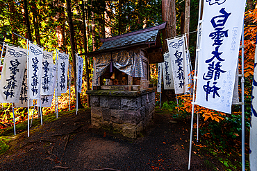 Small Shinto shrine in a forest surrounded by white kanji banners, Japan, Asia