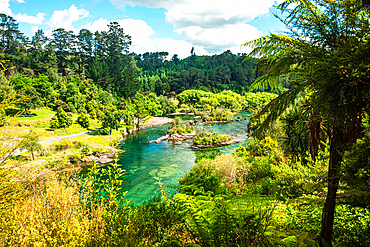 Otumuheke Stream (Spa Park Hot Pools). Lush green paradise close to Taupo. Huka falls walking path.