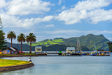 Summer day in the little port of Whitianga, Coromandel Peninsula, North Island, New Zealand, Pacific