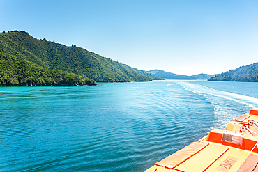 View from ferry cruising through Queen Charlotte Sound Marlborough Sounds New Zealand on a sunny day