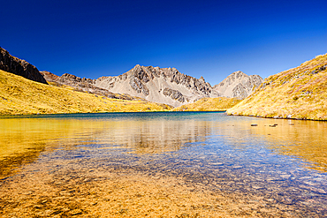 Peaceful wilderness lake beneath sunlit mountain range in natural reserv. Located in Nelson Lakes National Park in the Nelson/Tasman region