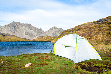 White tent at a mountain lake in green fields. New Zealand, Travers Range. Located in Nelson Lakes National Park in the Nelson/Tasman region