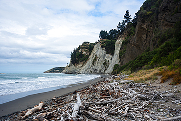Coastal driftwood-strewn beach beneath dramatic limestone cliffs at Gore Bay Beach, South Island, New Zealand