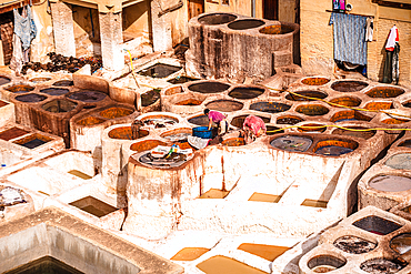 Women Working Over Rows of Whitewashed Dye Pits in the Morning Light at Chouara Tannery, Fes, Morocco