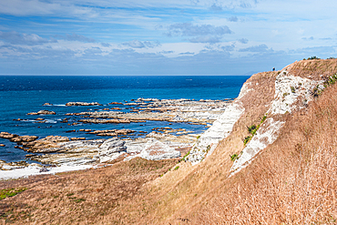 Point Kean Viewpoint. View of Rugged White Limestone Cliffs and Blue Sea at Kaikoura Peninsula, New Zealand