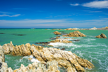 Foamy Surf Breaking Over Rugged Limestone Rocks in Bright Green Sea at Ward Beach, Marlborough, New Zealand