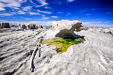 Striking Limestone Rock Formation Eroded by Wind and Sea on Ward Beach, Marlborough, New Zealand
