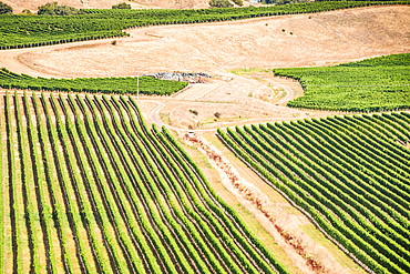 Aerial View of Vineyard Rows and Central Irrigation Circle Surrounded by Hills Near Blenheim, Marlborough, New Zealand
