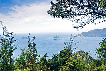 View of Offshore Islands and Serene Blue Sea Through Coastal Vegetation from Port Underwood Road, Marlborough Sounds, New Zealand