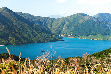 Aerial View of Serene Inlet Surrounded by Lush Green Hills in Queen Charlotte Sound, Marlborough Sounds, New Zealand