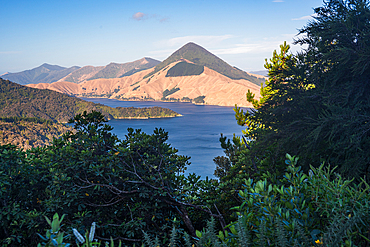 Bush-Framed View of Sunlit Peaks and Sparkling Water in Queen Charlotte Sound, Marlborough Sounds, New Zealand