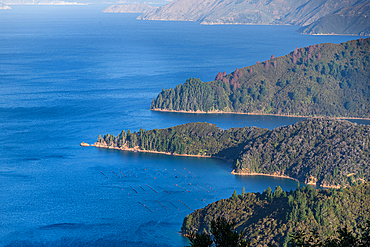 Elevated Perspective of Forested Headlands and Blue Waters in Admiralty Bay Seen from French Pass Road, Marlborough Sounds, New Zealand