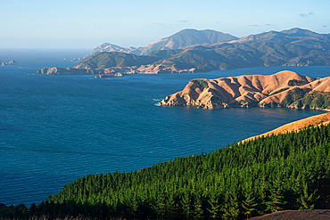 Rugged Peninsula and Forested Slopes Overlooking D’Urville Island and Outer Marlborough Sounds from French Pass Ridge, New Zealand