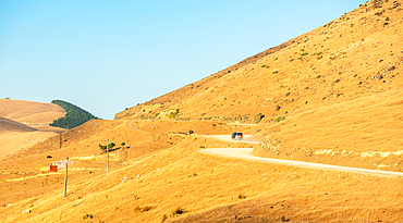 Winding Road Through Dry Golden Hills Near French Pass Marlborough Sounds, New Zealand