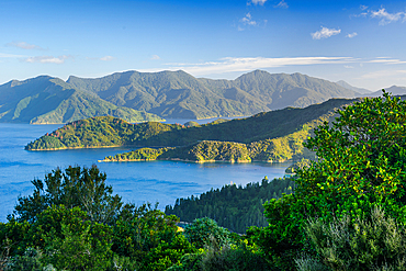 Forested Peninsula and Island Fragments Surrounded by Calm Blue Waters in Outer Queen Charlotte Sound Near French Pass, Marlborough Sounds, New Zealand