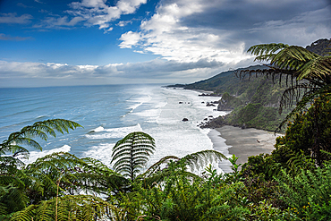 Lush Ferns Framing Majestic Coastal Cliffs and Ocean Swells Near Punakaiki, Paparoa National Park, New Zealand