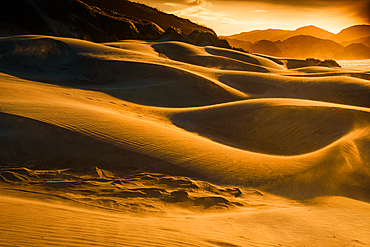 Golden Light Illuminating Windswept Sand Dunes at Wharariki Beach Near Cape Farewell, South Island, New Zealand