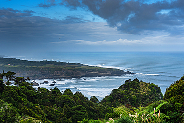 Overlook Across the Wild West Coastline with Bushy Headlands and Ocean Horizon Near Punakaiki, New Zealand