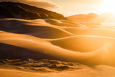 Evening Light Casting Long Shadows on Sculpted Sand Dunes at Wharariki Beach, Near Cape Farewell, South Island, New Zealand