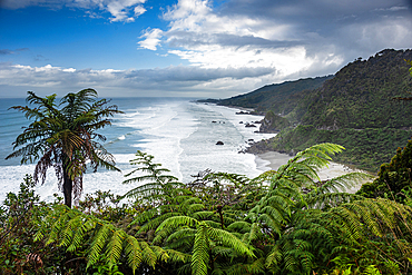 Fern-Lined Lookout Over Crashing Waves and Rugged Coastline in Paparoa National Park, West Coast, New Zealand