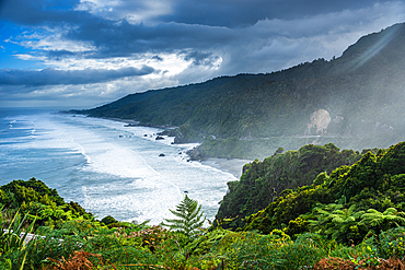 Wild Tasman Sea Coastline and Rainforest Cliffs Framed by Tree Ferns, Near Punakaiki, Paparoa National Park, New Zealand