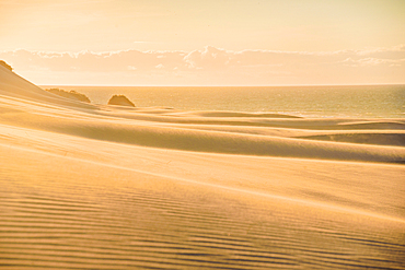 Smooth Ripples on Windswept Sand Dunes Glowing in Sunset Light at Wharariki Beach, Golden Bay, New Zealand